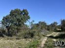 Vente Terrain Ferreira-do-zezere CHA£OS 2000 m2 Portugal