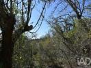 Vente Terrain Ferreira-do-zezere CHA£OS 800 m2 Portugal