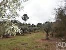 Vente Terrain Ferreira-do-zezere CHA�OS 8880 m2 Portugal