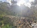 Vente Terrain Ferreira-do-zezere CHA£OS 1944 m2 Portugal