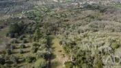 Vente Terrain Ferreira-do-zezere CHA£OS 2000 m2 Portugal