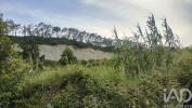 Vente Terrain Figueira-da-foz  32767 m2 Portugal