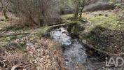 Vente Maison Figueiro-dos-vinhos CAMPELO 134 m2 Portugal