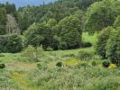 Vente Terrain Fogo FURNAS 4878 m2 Portugal