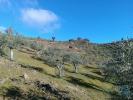 Vente Terrain Fornos FREIXO-DE-ESPADA-A-CINTA-E-MAZOUCO 9980 m2 Portugal