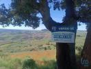 Vente Terrain Fornos FREIXO-DE-ESPADA-A-CINTA-E-MAZOUCO 32767 m2 Portugal