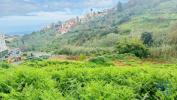 Vente Terrain Funchal SANTO-ANTA�NIO 1778 m2 Portugal