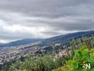 Vente Terrain Funchal  2910 m2 Portugal