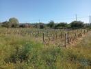 Vente Terrain Fundao CAPINHA 4210 m2 Portugal