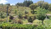 Vente Maison Gois ALVARES 132 m2 Portugal