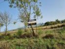 Vente Terrain Gouveia RIO-TORTO-E-LAGARINHOS 27818 m2 Portugal