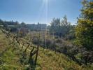 Vente Terrain Gouveia VILA-NOVA-DE-TAZEM 32767 m2 Portugal