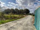 Vente Terrain Grandola GRANDOLA-E-SANTA-MARGARIDA-DA-SERRA 32767 m2 Portugal
