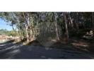 Vente Terrain Guimaraes  4463 m2 Portugal