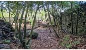 Vente Terrain Lagoa NOSSA-SENHORA-DO-ROSARIO 1040 m2 Portugal
