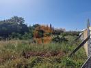 Vente Terrain Lagos SAO-GONAALO-DE-LAGOS 200 m2 Portugal