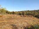 Vente Terrain Lagos BENSAFRIM-E-BARAO-DE-SAO-JOAO 6240 m2 Portugal