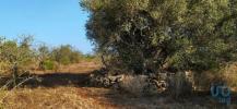 Vente Terrain Lagos BENSAFRIM-E-BARAO-DE-SAO-JOAO 25200 m2 Portugal