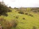 Vente Terrain Lagos  4940 m2 Portugal