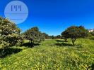Vente Maison Lagos 57 m2 Portugal