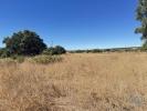 Vente Terrain Lagos BENSAFRIM-E-BARAO-DE-SAO-JOAO 10680 m2 Portugal
