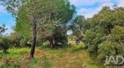 Vente Terrain Lagos BENSAFRIM-E-BARA£O-DE-SA£O-JOA£O 24520 m2 Portugal