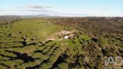 Vente Maison Lagos BENSAFRIM-E-BARA£O-DE-SA£O-JOA£O 137 m2 Portugal