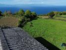 Vente Terrain Lajes-do-pico RIBEIRINHA 750 m2 Portugal