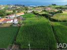 Vente Terrain Lajes-do-pico RIBEIRAS 1201 m2 Portugal