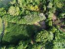 Vente Terrain Lajes-do-pico RIBEIRAS 1335 m2 Portugal