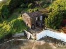 Vente Terrain Lajes-do-pico RIBEIRAS 1581 m2 Portugal