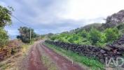Vente Terrain Lajes-do-pico PIEDADE 801 m2 Portugal