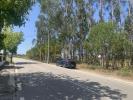 Vente Terrain Leiria MARRAZES-E-BAROSA 7239 m2 Portugal