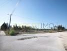 Vente Terrain Leiria MARRAZES-E-BAROSA 32767 m2 Portugal