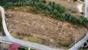 Vente Terrain Leiria MARRAZES-E-BAROSA 1023 m2 Portugal