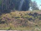 Vente Terrain Leiria SOUTO-DE-CARPALHOSA-E-ORTIGOSA 2154 m2 Portugal