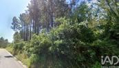 Vente Terrain Leiria MACEIRA 6107 m2 Portugal