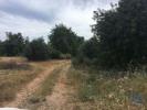Vente Terrain Loule SA£O-SEBASTIA£O 9900 m2 Portugal