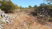 Vente Terrain Loule QUERENAA,-TAR-E-BENAFIM 5560 m2 Portugal