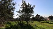 Vente Terrain Loule  450 m2 Portugal