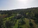 Vente Terrain Loule  56 m2 Portugal