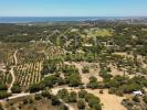 Vente Terrain Loule ALMANCIL 1921 m2 Portugal