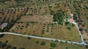 Vente Terrain Loule SAO-SEBASTIAO 9990 m2 Portugal