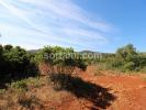 Vente Terrain Loule  Portugal