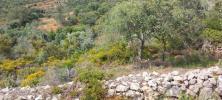 Vente Terrain Loule  940 m2 Portugal