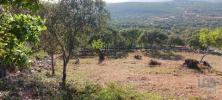 Vente Terrain Loule SA£O-SEBASTIA£O 3160 m2 Portugal