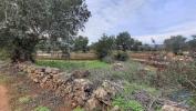 Vente Terrain Loule SAO-SEBASTIAO 13830 m2 Portugal