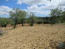 Vente Terrain Loule BOLIQUEIME 2200 m2 Portugal