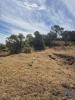 Vente Terrain Loule QUERENAA,-TAR-E-BENAFIM 7880 m2 Portugal