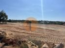 Vente Terrain Loule SA�O-CLEMENTE 2000 m2 Portugal